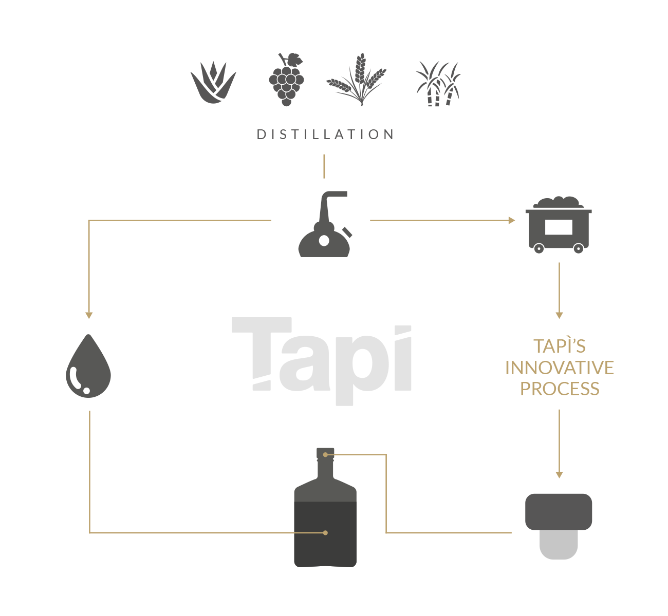 Tapì Group Project