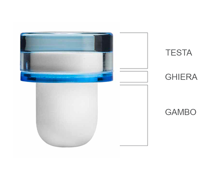 Tapì Group Design